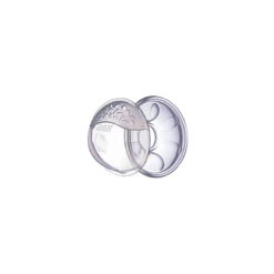 PHILIPS SpA Philips Avent Conchiglie Raccoglilatte 2 Pezzi