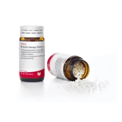 BRONCHI PLANT COMP 20G GL WALA