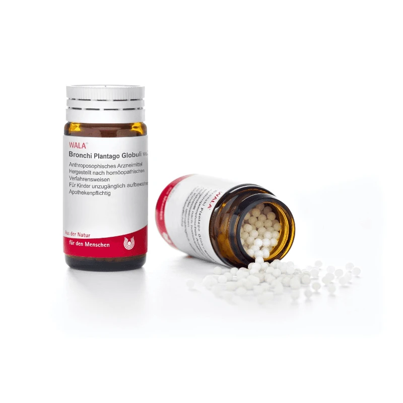 BRONCHI PLANT COMP 20G GL WALA 1 BRONCHI PLANT COMP 20G GL WALA