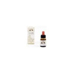 CORALLVIN 10ML
