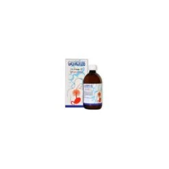 D.M.G. ITALIA Srl GASTROTUSS SCIROPPO 500ML