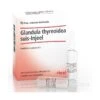GUNA SpA GLANDULA THYRE SUIS INJ 10F HE -Negozio al dettaglio CHICCO glandula thyre suis inj 10f he