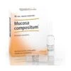 GUNA SpA MUCOSA COMP 10F 2,2ML HEEL -Negozio al dettaglio CHICCO mucosa comp 10f 22ml heel