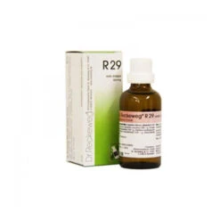 RECKEWEG R29 GOCCE 22ML
