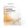 GUNA SpA SOLIDAGO COMP 10F 2,2ML HEEL