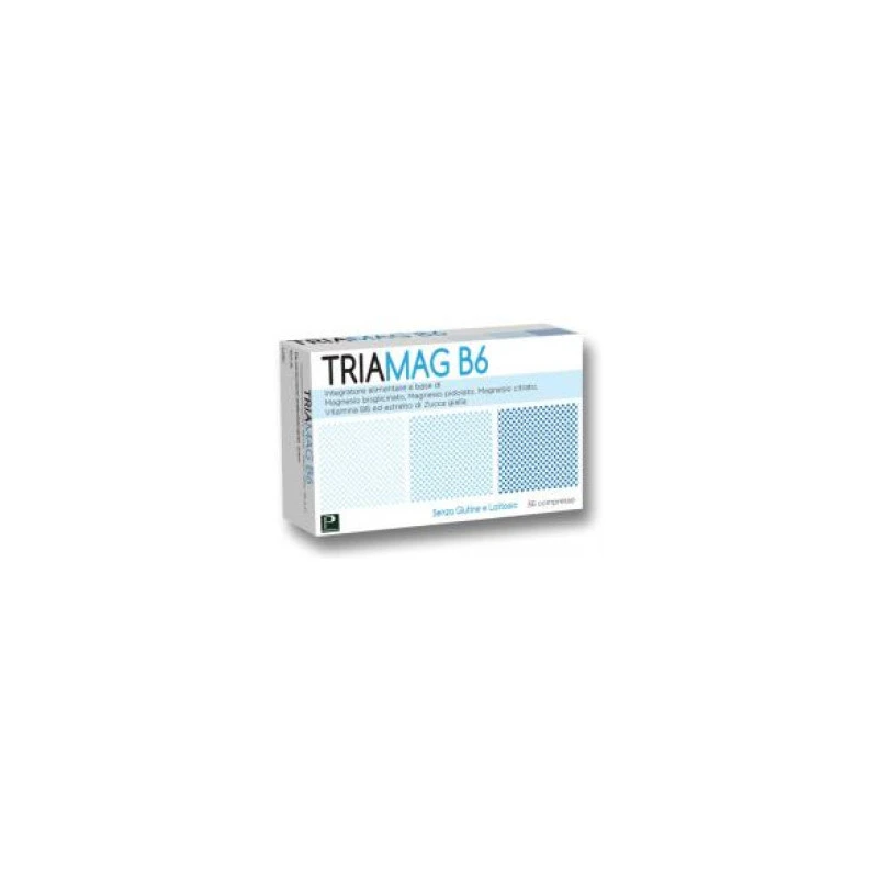 TRIAMAG B6 36CPR 1 TRIAMAG B6 36CPR