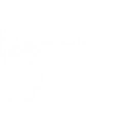 ZEFLAVON*60CPR RIV 500MG